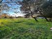 3820 E STATE HWY 20 HIGHWAY NICE, CA 95464