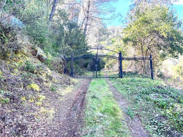 6185 SODA BAY KELSEYVILLE, CA 95451