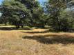 6185 SODA BAY KELSEYVILLE, CA 95451