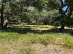 6185 SODA BAY KELSEYVILLE, CA 95451