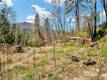 12061 GIFFORD SPRINGS ROAD COBB, CA 95426