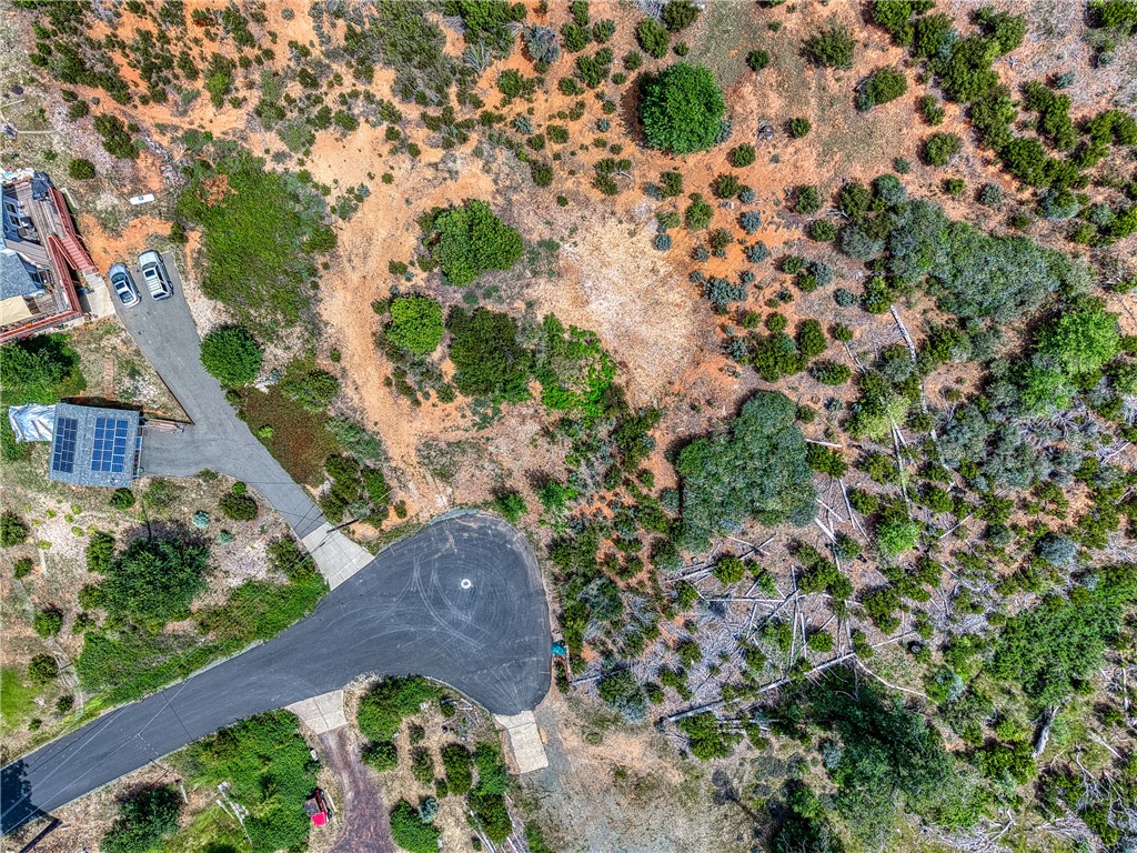 9738 HOBERG DRIVE COBB, CA 95426
