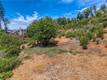 9738 HOBERG DRIVE COBB, CA 95426