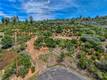 9738 HOBERG DRIVE COBB, CA 95426