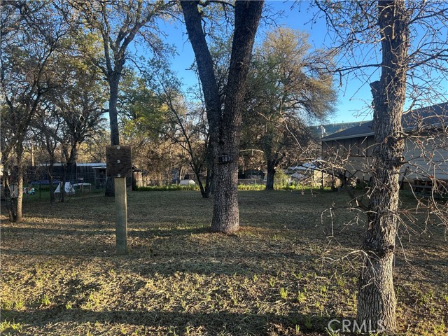 15976 33RD CLEARLAKE, CA 95422