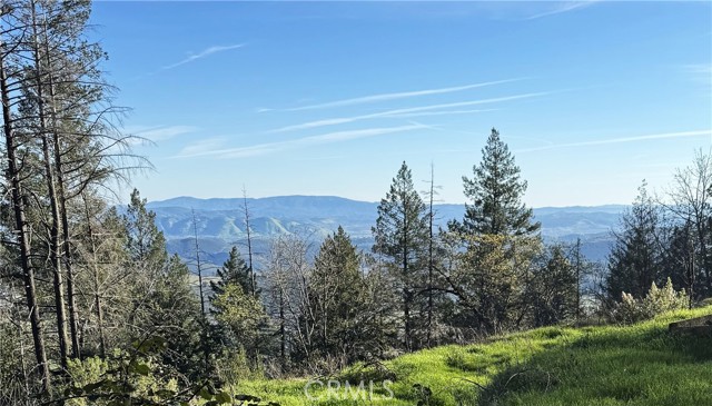9465 DIAMOND DUST KELSEYVILLE, CA 95451