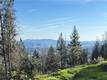 9465 DIAMOND DUST KELSEYVILLE, CA 95451
