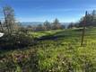9465 DIAMOND DUST KELSEYVILLE, CA 95451
