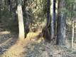 9465 DIAMOND DUST KELSEYVILLE, CA 95451