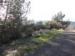 15657 19TH AVENUE CLEARLAKE, CA 95422