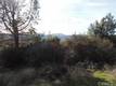15657 19TH AVENUE CLEARLAKE, CA 95422
