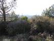 15657 19TH AVENUE CLEARLAKE, CA 95422