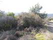 15657 19TH AVENUE CLEARLAKE, CA 95422