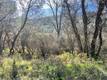 2286 NEW LONG VALLEY ROAD CLEARLAKE OAKS, CA 95423