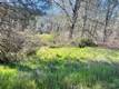 2286 NEW LONG VALLEY ROAD CLEARLAKE OAKS, CA 95423