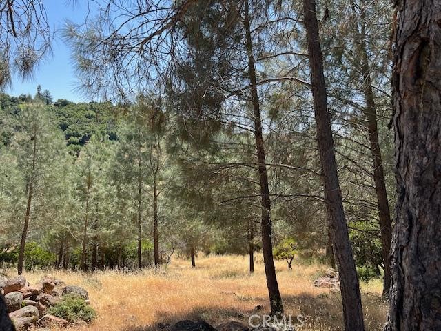 10353 WALNUT WAY KELSEYVILLE, CA 95451