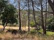 10353 WALNUT WAY KELSEYVILLE, CA 95451
