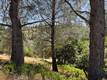 10353 WALNUT WAY KELSEYVILLE, CA 95451