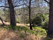 10353 WALNUT WAY KELSEYVILLE, CA 95451