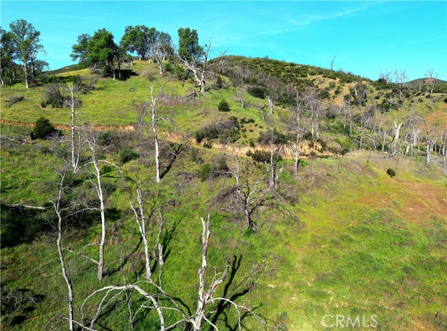 3515 SPRING VALLEY RD CLEARLAKE OAKS, CA 95423