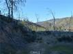 3515 SPRING VALLEY RD CLEARLAKE OAKS, CA 95423