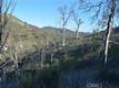 3515 SPRING VALLEY RD CLEARLAKE OAKS, CA 95423