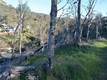 3515 SPRING VALLEY RD CLEARLAKE OAKS, CA 95423