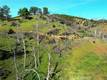 3515 SPRING VALLEY RD CLEARLAKE OAKS, CA 95423