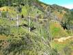 3515 SPRING VALLEY RD CLEARLAKE OAKS, CA 95423
