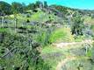 3515 SPRING VALLEY RD CLEARLAKE OAKS, CA 95423