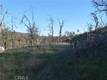3515 SPRING VALLEY RD CLEARLAKE OAKS, CA 95423
