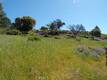 10450 SUNSET RIDGE DRIVE KELSEYVILLE, CA 95451