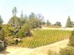 10450 SUNSET RIDGE DRIVE KELSEYVILLE, CA 95451