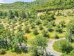 7635 HIGHWAY 175 KELSEYVILLE, CA 95453