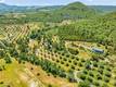 7635 HIGHWAY 175 KELSEYVILLE, CA 95453