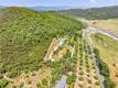 7635 HIGHWAY 175 KELSEYVILLE, CA 95453