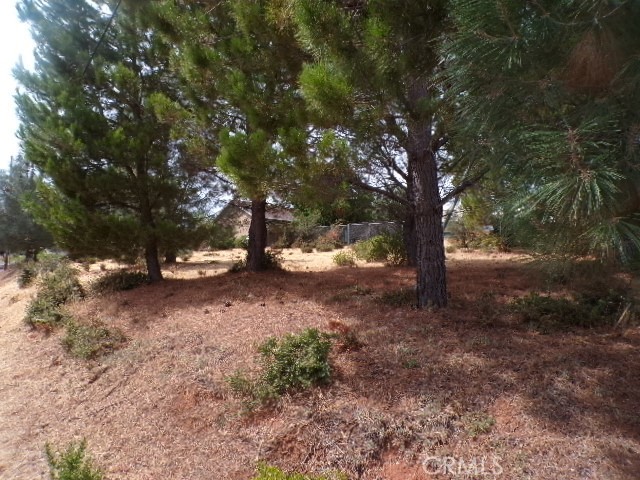 10265 FAIRWAY DRIVE KELSEYVILLE, CA 95451