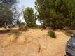 10265 FAIRWAY DRIVE KELSEYVILLE, CA 95451