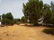 10265 FAIRWAY DRIVE KELSEYVILLE, CA 95451