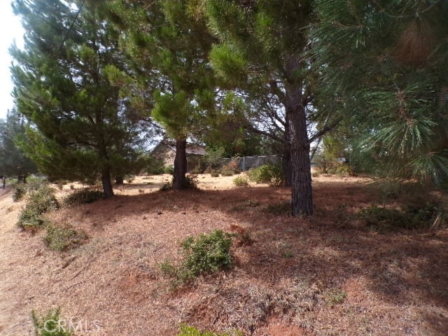 10268 DELMONTE WAY KELSEYVILLE, CA 95451