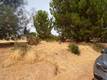 10268 DELMONTE WAY KELSEYVILLE, CA 95451