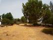 10268 DELMONTE WAY KELSEYVILLE, CA 95451
