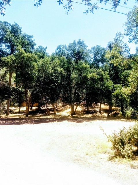 5947 ARMIJO AVENUE CLEARLAKE, CA 95422