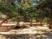 5947 ARMIJO AVENUE CLEARLAKE, CA 95422