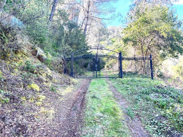 6189 SODA BAY KELSEYVILLE, CA 95451