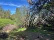 6189 SODA BAY KELSEYVILLE, CA 95451