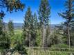 9237 DIAMOND DUST KELSEYVILLE, CA 95451