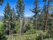 9237 DIAMOND DUST KELSEYVILLE, CA 95451