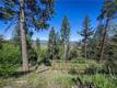 9237 DIAMOND DUST KELSEYVILLE, CA 95451