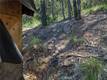 9237 DIAMOND DUST KELSEYVILLE, CA 95451